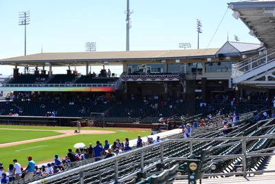 DSC_1684 (Large).JPG